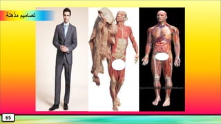 w
‫مذهلة‬ ‫تصاميم‬
65
 