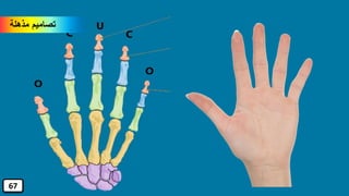 ‫مذهلة‬ ‫تصاميم‬
67
 