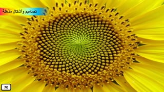 ‫مذهلة‬ ‫وأشكال‬ ‫تصاميم‬
70
 