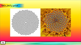 w
‫مذهلة‬ ‫وأشكال‬ ‫تصاميم‬
71
 