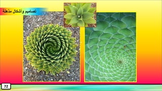 w
‫مذهلة‬ ‫وأشكال‬ ‫تصاميم‬
72
 