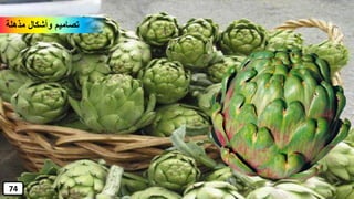 ‫مذهلة‬ ‫وأشكال‬ ‫تصاميم‬
74
 