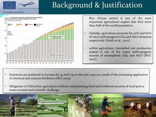 Reduced emissions from intensified rice production systems | PDF