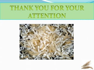 Reduced emissions from intensified rice production systems