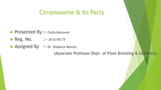 Chromosome and Its Parts by Faiza Rao | PPTX