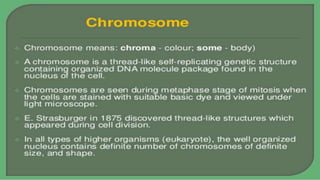 Chromosome and Its Parts by Faiza Rao | PPTX