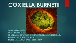 COXIELLA BURNETII
SN.FAIZSUL RAGHUMAN
II B.SC. MICROBIOLOGY
PG & RESEARCH DEPARTMENT OF BIOTECHNOLOGY AND MICROBIOLOGY
NATIONAL COLLAGE (AUTONOMOUS)
TIRUCHIRAPPALLI, TAMIL NADU – 620001, INDIA
Inside the vacuoles of Vero cells : Coxiella burnetii
 