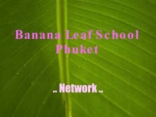 Banana Le af S c ho o l
     Phuke t


       .. Network ..
 