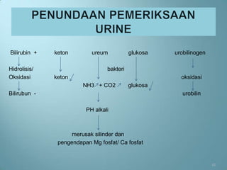 Bilirubin +   keton        ureum           glukosa   urobilinogen

Hidrolisis/                      bakteri
Oksidasi      keton                                    oksidasi
                        NH3 + CO2          glukosa
Bilirubun -                                             urobilin

                         PH alkali



                    merusak silinder dan
               pengendapan Mg fosfat/ Ca fosfat


                                                                    41
 