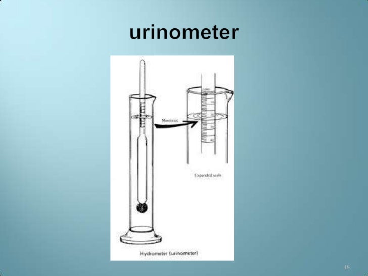 Contoh Laporan Entrepreneurship - Women's Day