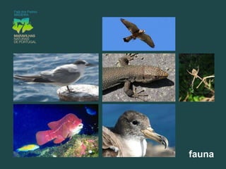 Acessoexclusivopelo mar. a praia de calhau e areiabasáltica