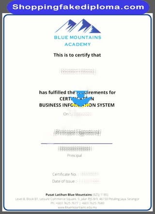 fake certificate 