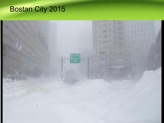 Bostan City 2015
 