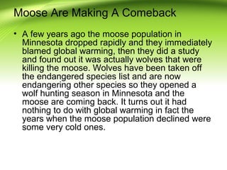 Moose Are Making A Comeback
• A few years ago the moose population in
Minnesota dropped rapidly and they immediately
blamed global warming, then they did a study
and found out it was actually wolves that were
killing the moose. Wolves have been taken off
the endangered species list and are now
endangering other species so they opened a
wolf hunting season in Minnesota and the
moose are coming back. It turns out it had
nothing to do with global warming in fact the
years when the moose population declined were
some very cold ones.
 