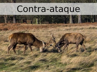 Contra-ataque
 