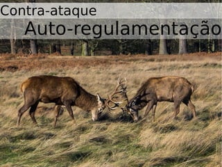 Contra-ataque
Auto-regulamentação
 