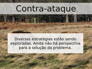 Contra-ataque
Diversas estratégias estão sendo
exploradas. Ainda não há perspectiva
para a solução do problema.
 