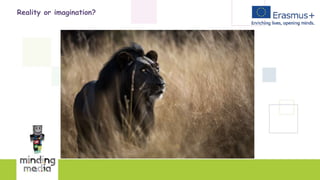 Reality or imagination?
 