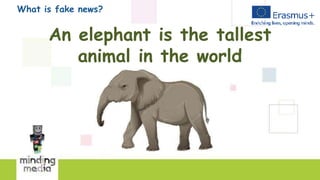 What is fake news?
An elephant is the tallest
animal in the world
 