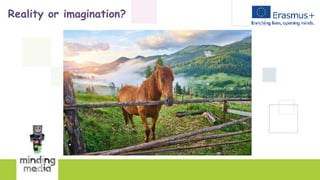Reality or imagination?
 