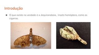 Introdução
● O que existe na verdade é a Jequiranaboia, inseto homóptero, como as
cigarras.
 