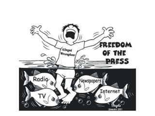 Fake news presentation