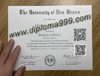 University of New Mexico degree
