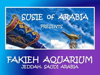 SUSIE of ARABIA
        PRESENTS




FAKIEH AQUARIUM
  JEDDAH, SAUDI ARABIA
 
