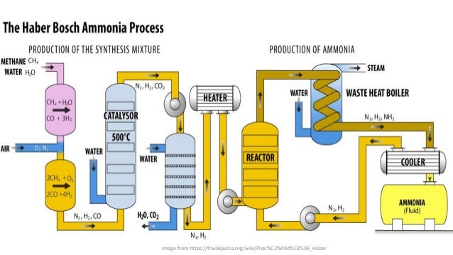diagram ammonia for pt Flow Process And Gallery How To Guide Refrence Haber Diagram diagram ammonia for pt Flow Process And Gallery How To Guide Refrence Haber Diagram
