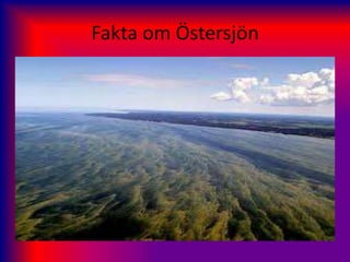 Fakta om Östersjön
 