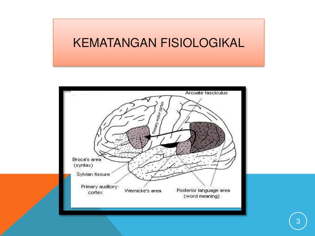 Faktor faktor mempengaruhi pembelajaran bahasa