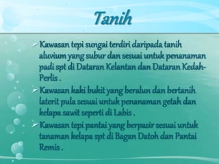 Tanih
Kawasan tepi sungai terdiri daripada tanih
aluvium yang subur dan sesuai untuk penanaman
padi spt di Dataran Kelantan dan Dataran Kedah-
Perlis .
Kawasan kaki bukit yang beralun dan bertanih
laterit pula sesuai untuk penanaman getah dan
kelapa sawit seperti di Labis.
Kawasan tepi pantai yang berpasirsesuai untuk
tanaman kelapa spt di BaganDatoh dan Pantai
Remis .
 
