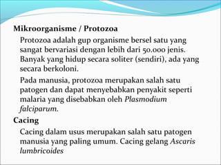 Mikroorganisme / Protozoa
 Protozoa adalah gup organisme bersel satu yang
 sangat bervariasi dengan lebih dari 50.000 jenis.
 Banyak yang hidup secara soliter (sendiri), ada yang
 secara berkoloni.
 Pada manusia, protozoa merupakan salah satu
 patogen dan dapat menyebabkan penyakit seperti
 malaria yang disebabkan oleh Plasmodium
 falciparum.
Cacing
 Cacing dalam usus merupakan salah satu patogen
 manusia yang paling umum. Cacing gelang Ascaris
 lumbricoides
 