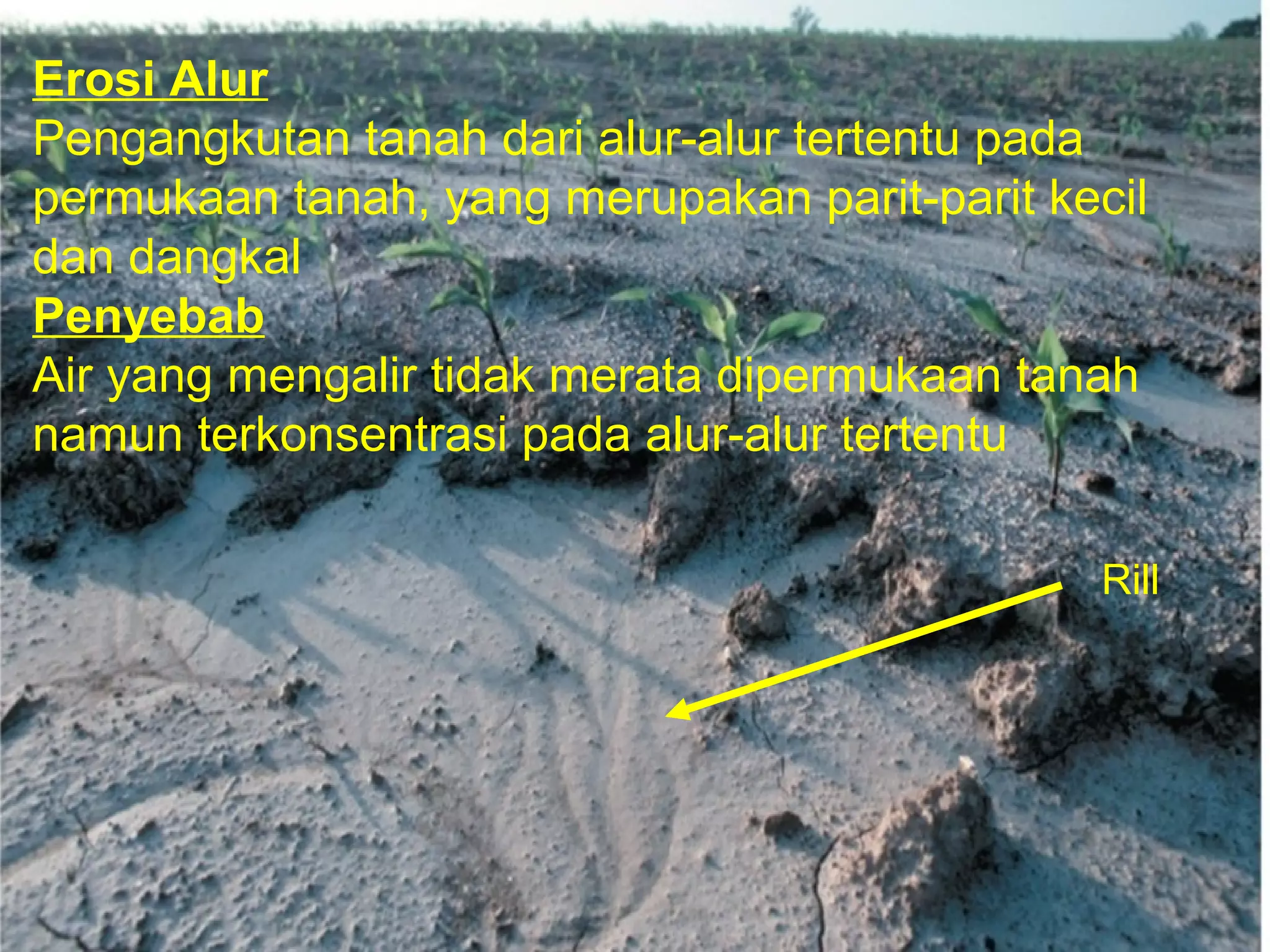 Faktor erosi topgrafi | PPT