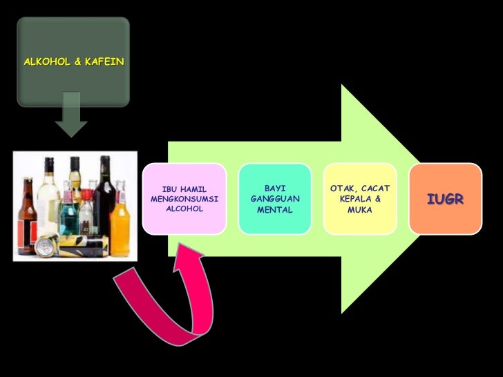 Faktor –faktor yang mempengaruhi kehamilan