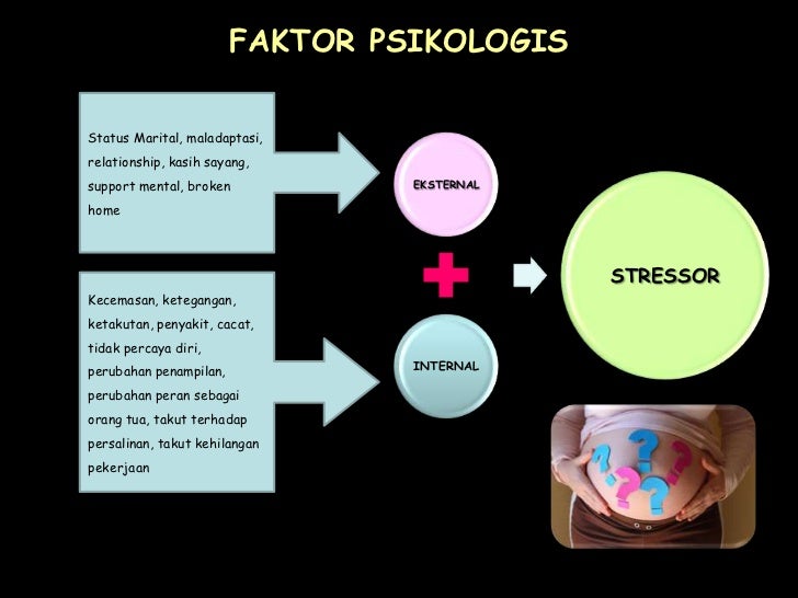 Faktor –faktor yang mempengaruhi kehamilan