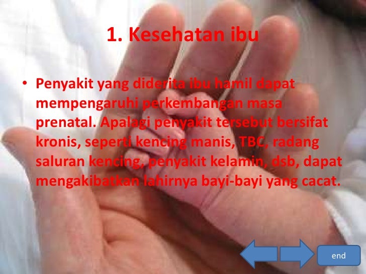 Faktor – faktor yang mempengaruhi perkembangan