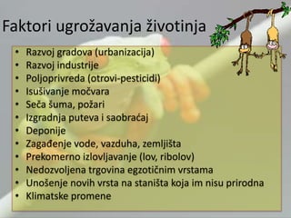 Faktori ugrožavanja životinja
• Razvoj gradova (urbanizacija)
• Razvoj industrije
• Poljoprivreda (otrovi-pesticidi)
• Isušivanje močvara
• Seča šuma, požari
• Izgradnja puteva i saobraćaj
• Deponije
• Zagađenje vode, vazduha, zemljišta
• Prekomerno izlovljavanje (lov, ribolov)
• Nedozvoljena trgovina egzotičnim vrstama
• Unošenje novih vrsta na staništa koja im nisu prirodna
• Klimatske promene
 