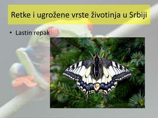 • Lastin repak
Retke i ugrožene vrste životinja u Srbiji
 