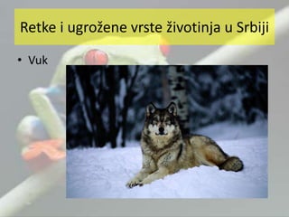 • Vuk
Retke i ugrožene vrste životinja u Srbiji
 