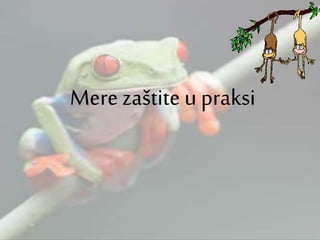 Mere zaštite u praksi
 