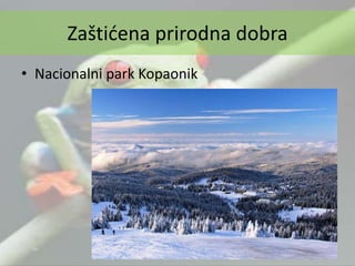 • Nacionalni park Kopaonik
Zaštićena prirodna dobra
 