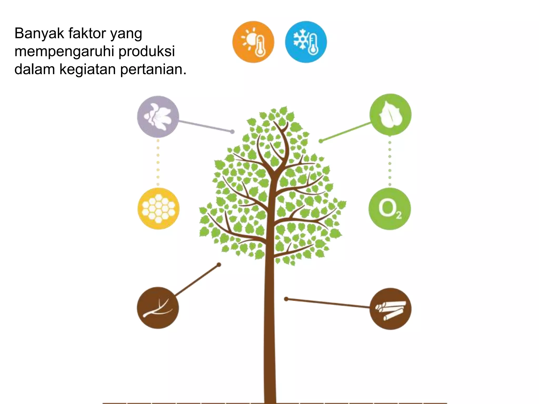Faktor produksi pertanian - Pengantar Ilmu Pertanian | PPTX
