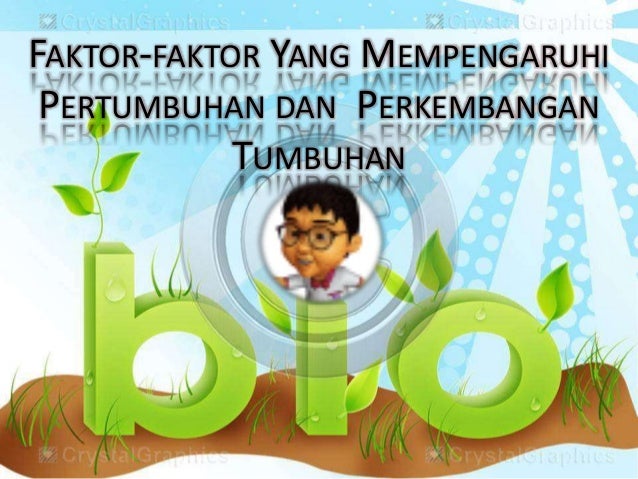 Faktor Yang Mempengaruhi Pertumbuhan Dan Perkembangan Tumbuhan