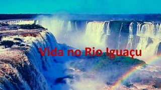 Vida no Rio Iguaçu
 