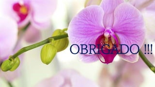 OBRIGADO !!!
 