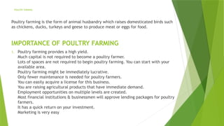 POULTRY FARMING
Poultry farming is the form of animal husbandry which raises domesticated birds such
as chickens, ducks, turkeys and geese to produce meat or eggs for food.
IMPORTANCE OF POULTRY FARMING
1. Poultry farming provides a high yield.
Much capital is not required to become a poultry farmer.
Lots of spaces are not required to begin poultry farming. You can start with your
available area.
Poultry farming might be immediately lucrative.
Only fewer maintenance is needed for poultry farmers.
You can easily acquire a license for this business.
You are raising agricultural products that have immediate demand.
Employment opportunities on multiple levels are created.
Most financial institutions & businessmen will approve lending packages for poultry
farmers.
It has a quick return on your investment.
Marketing is very easy
 