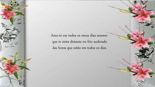 Amo-te em todos os meus dias mesmo
que te sinta distante no frio acelerado
das horas que estão em todos os dias.