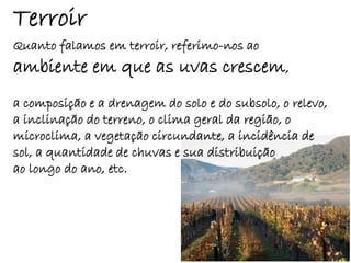 Terroir
Quanto falamos em terroir, referimo-nos ao
ambiente em que as uvas crescem,
a composição e a drenagem do solo e do subsolo, o relevo,
a inclinação do terreno, o clima geral da região, o
microclima, a vegetação circundante, a incidência de
sol, a quantidade de chuvas e sua distribuição
ao longo do ano, etc.
 