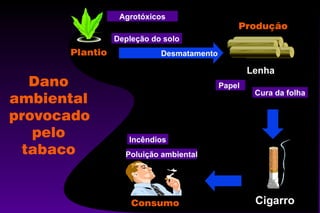 Agrotóxicos
Depleção do solo
Lenha
Cura da folha
PapelPapel
Cigarro
Poluição ambiental
IncêndiosIncêndios
Desmatamento
 